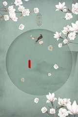 猫咪网站海外永久入口